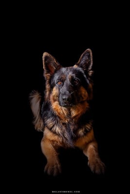 Du Domaine De Crunchy