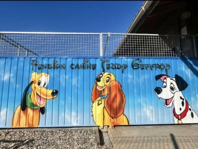 Pension éducation canine Teddy Geffroy