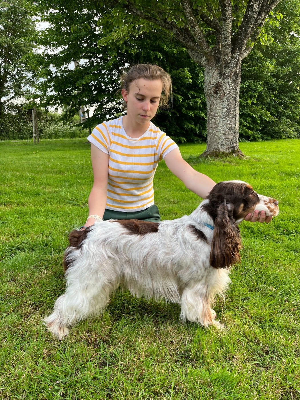 Publication : Les Joy'eaux Du Terrier