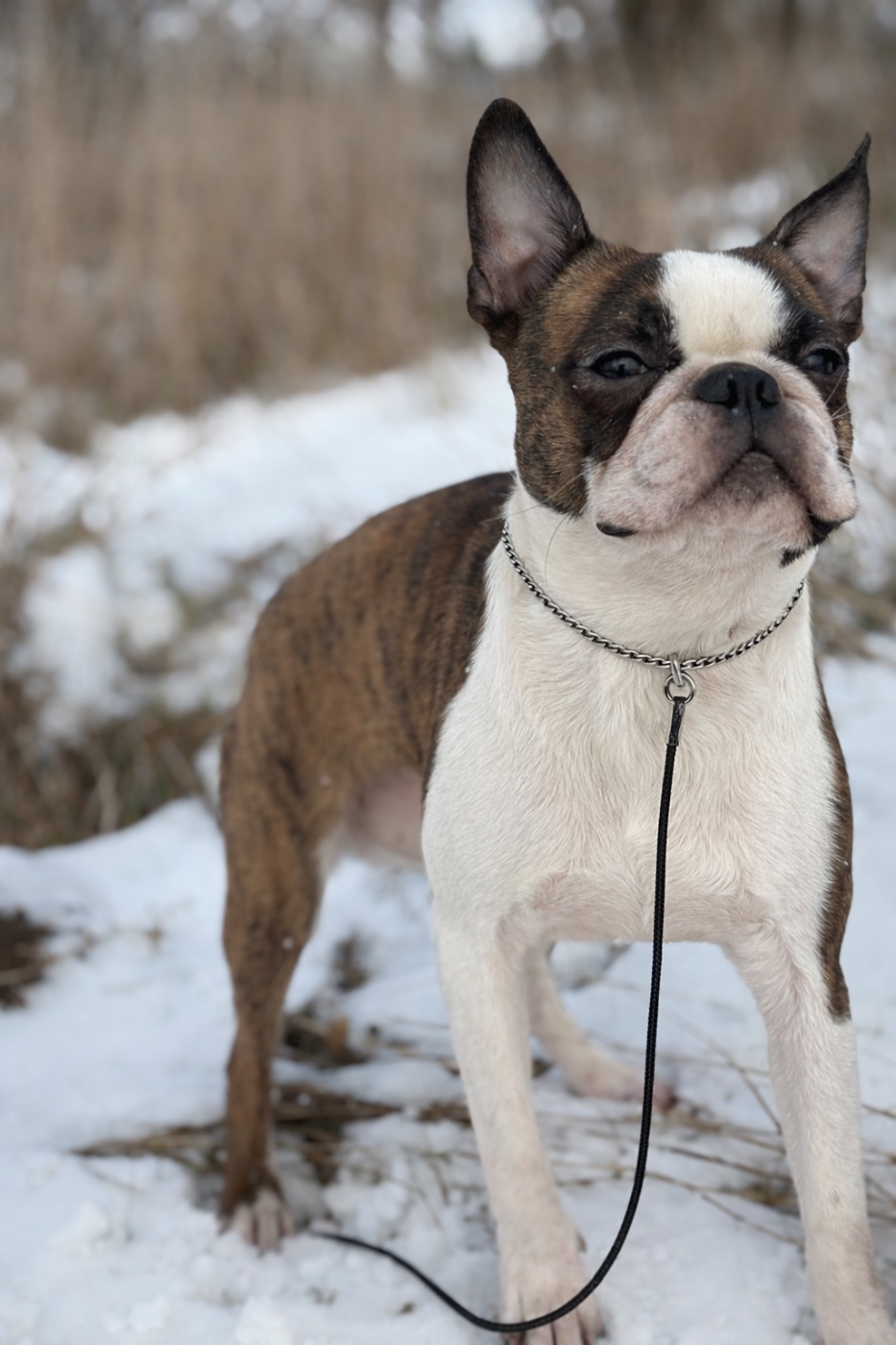 Vite ma dose de bisous Du grand fresnoy