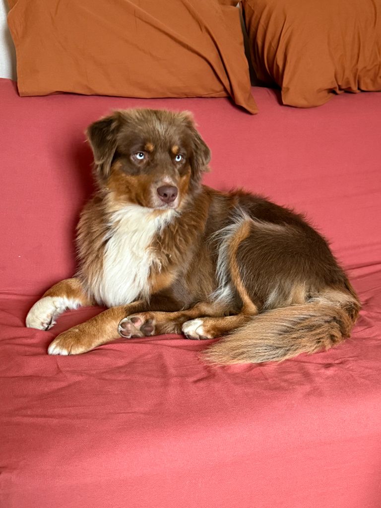 Publication : Ombrelys Auteur : personnel