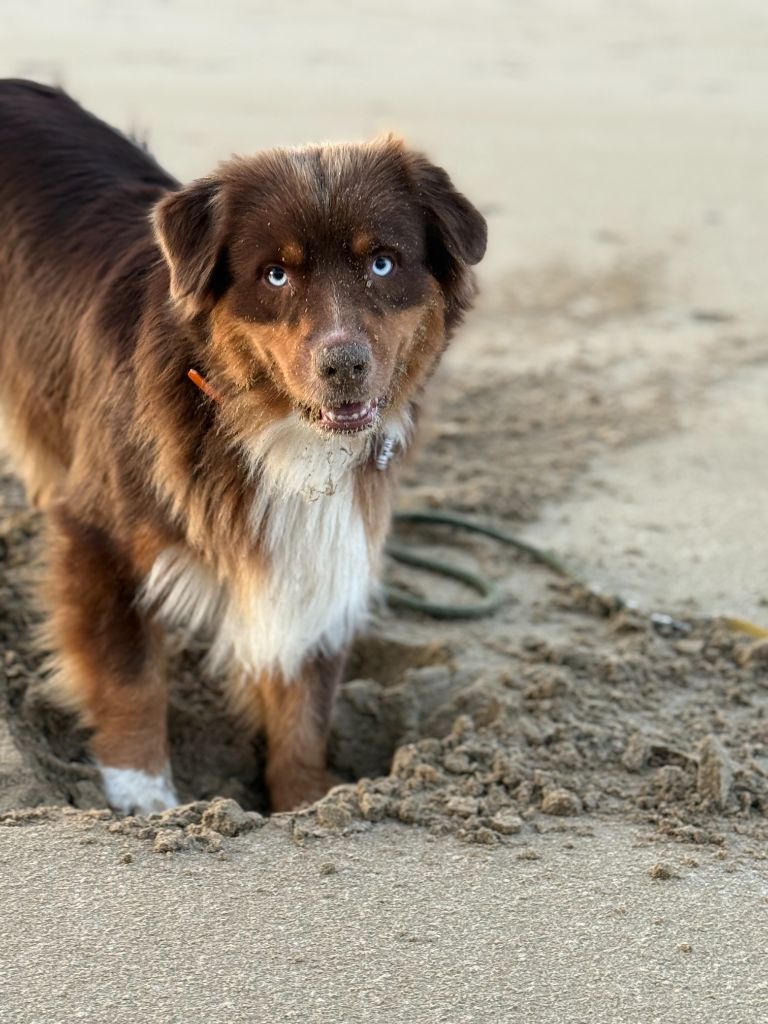 Publication : Ombrelys Auteur : personnel