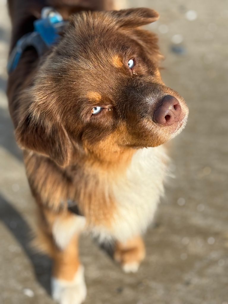 Publication : Ombrelys Auteur : personnel