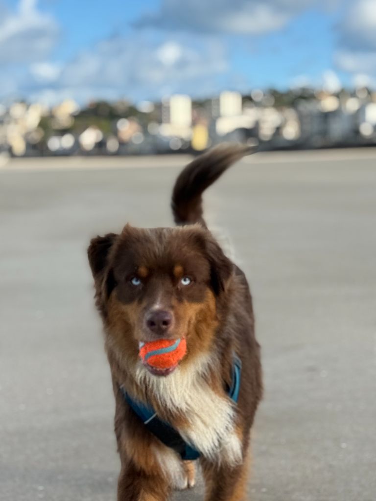 Publication : Ombrelys Auteur : personnel