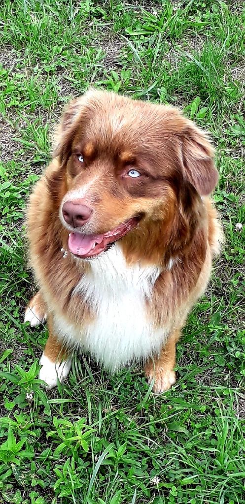 Publication : Ombrelys Auteur : personnel