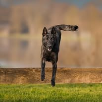 Des Gardiens De La Seine Vaya