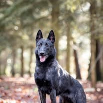 Des Gardiens De La Seine Vaya