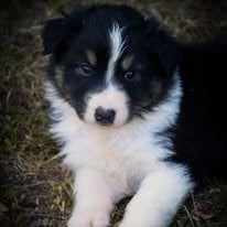 Amor nairobi Des Bebouw D'Urka