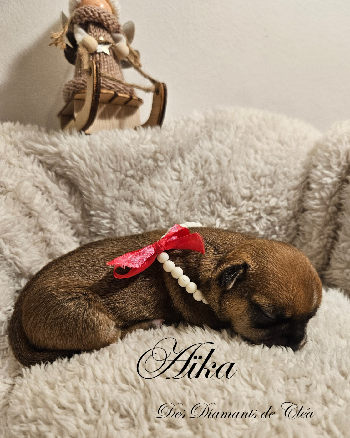 Aïka Des Diamants de Cléa