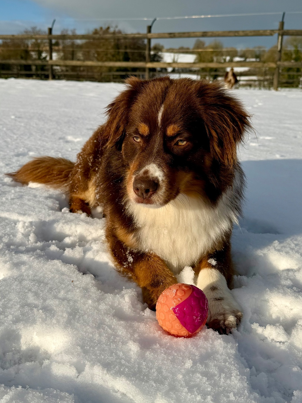 Sans Contrefaçon  Du clos des duchesses