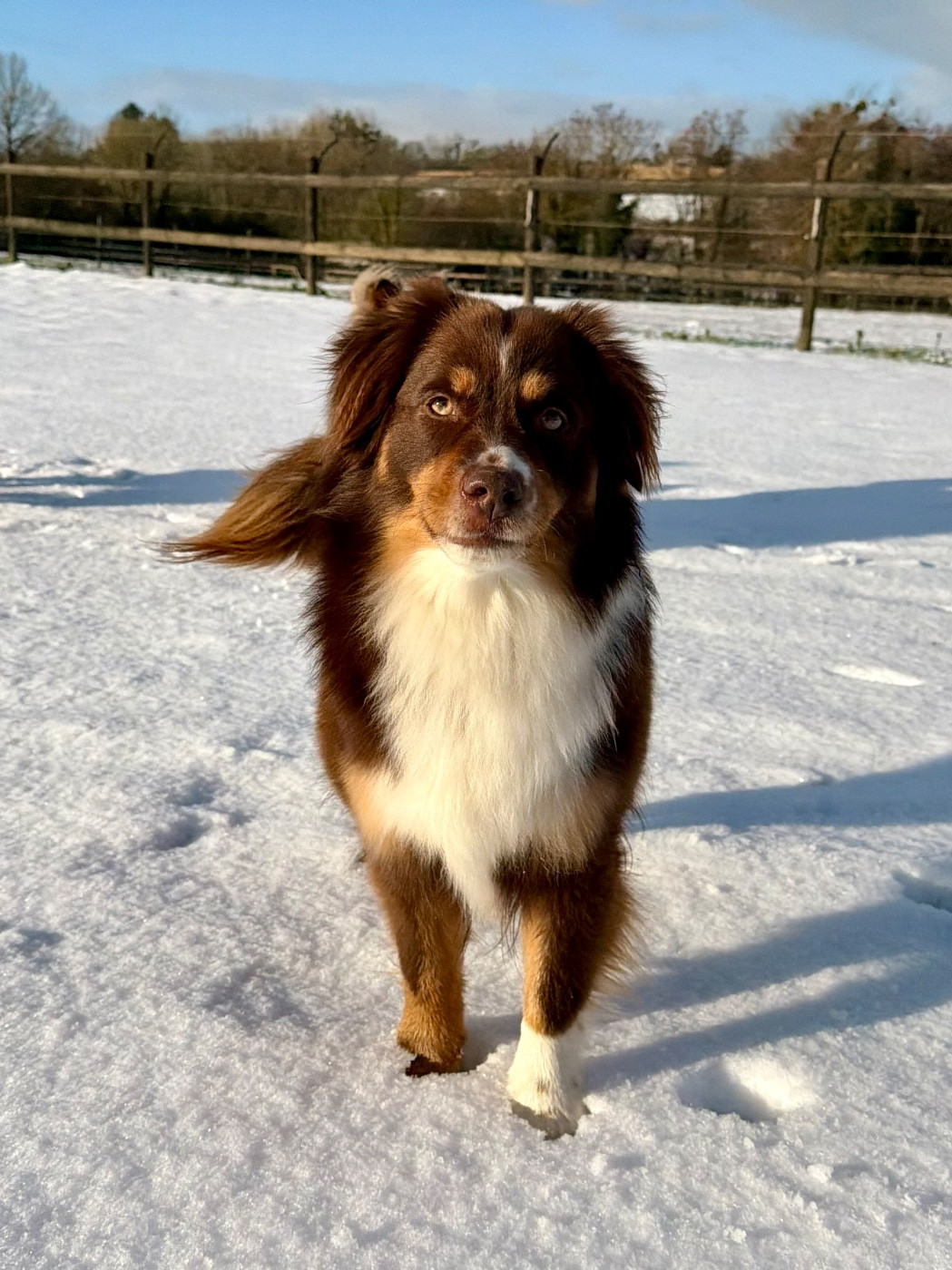 Sans Contrefaçon  Du clos des duchesses