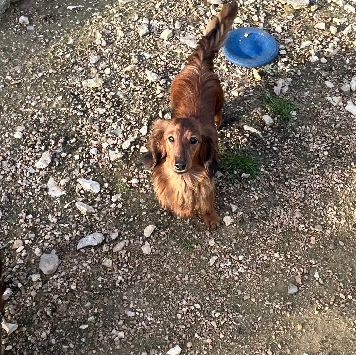 Ayka Des Amours De Poseidon