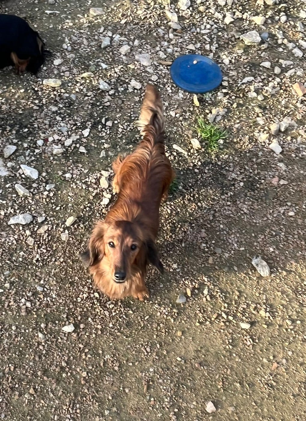 Ayka Des Amours De Poseidon