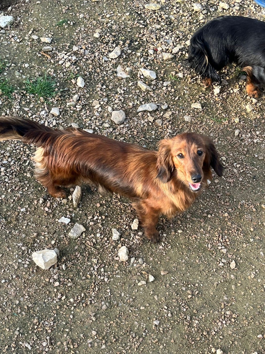 Ayka Des Amours De Poseidon