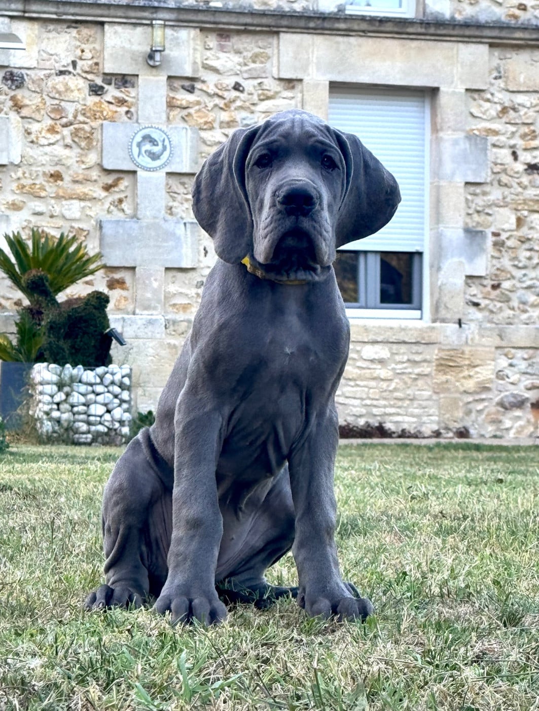 BIANCA