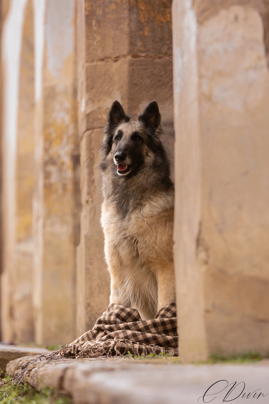 Pahoma Des Perles Du Grès
