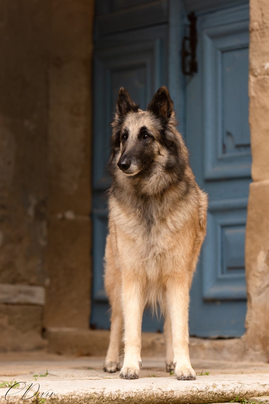 Pahoma Des Perles Du Grès