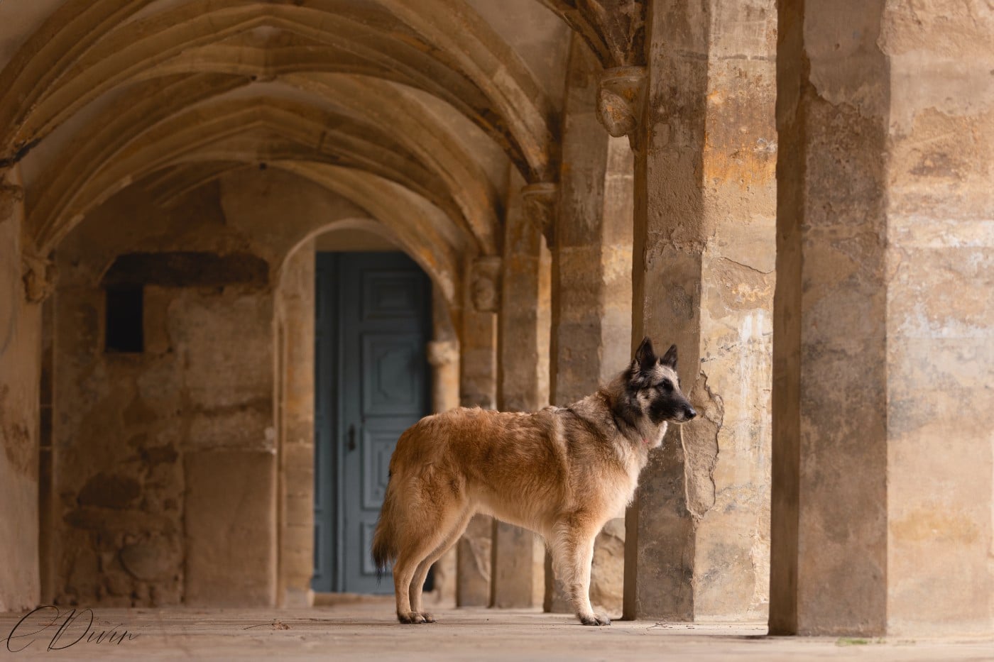 Pahoma Des Perles Du Grès