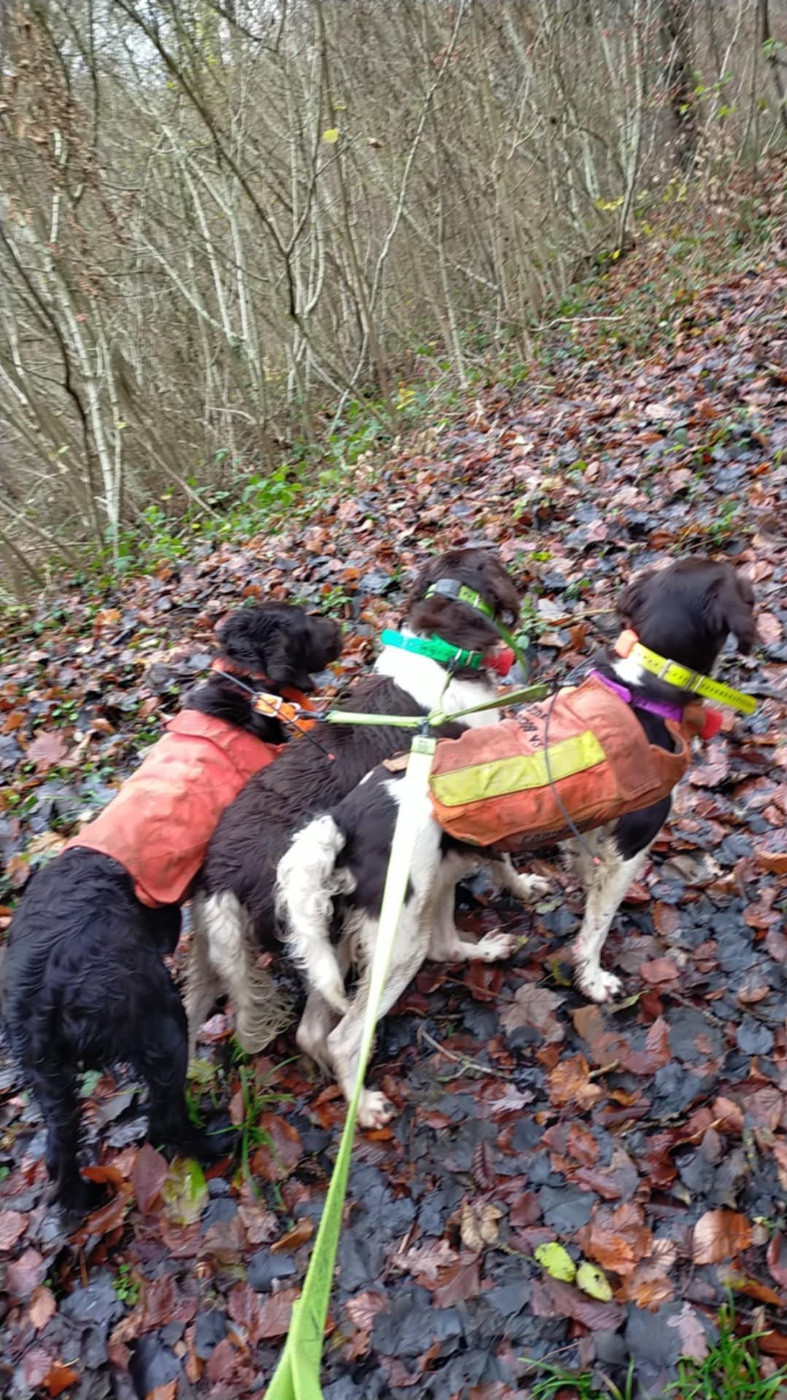 ULTRA DU VERGER DES ICQUES