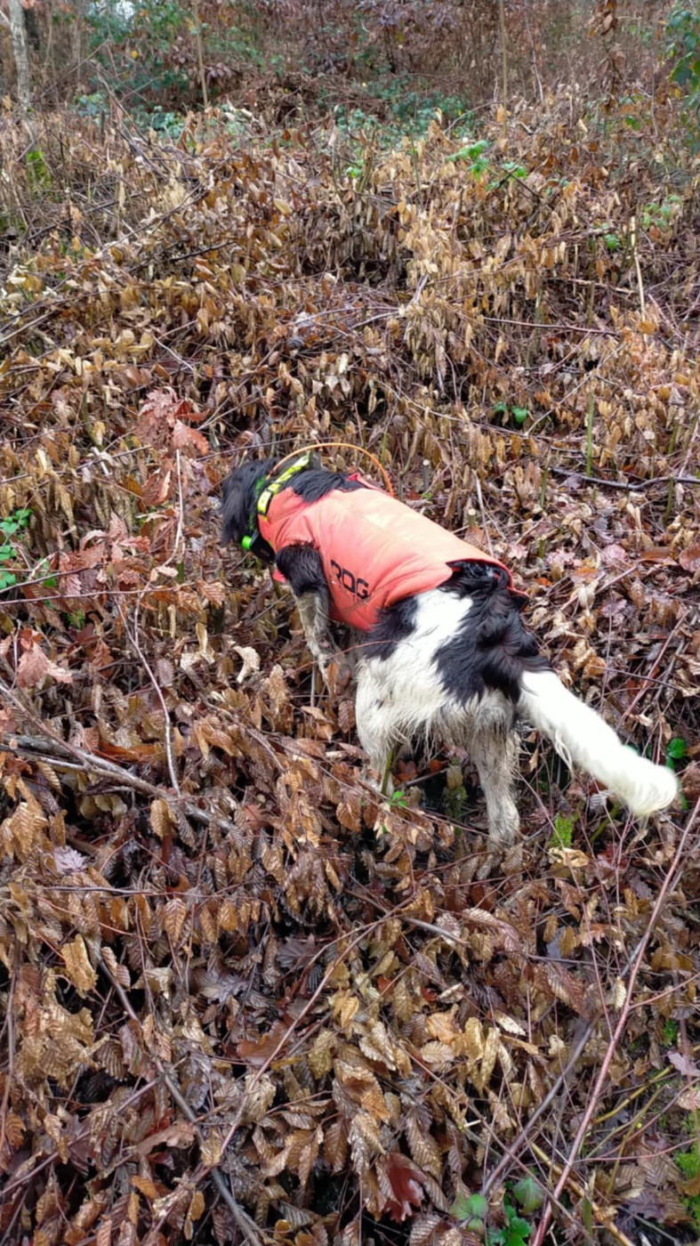 ASTRO DU VERGER DES ICQUES