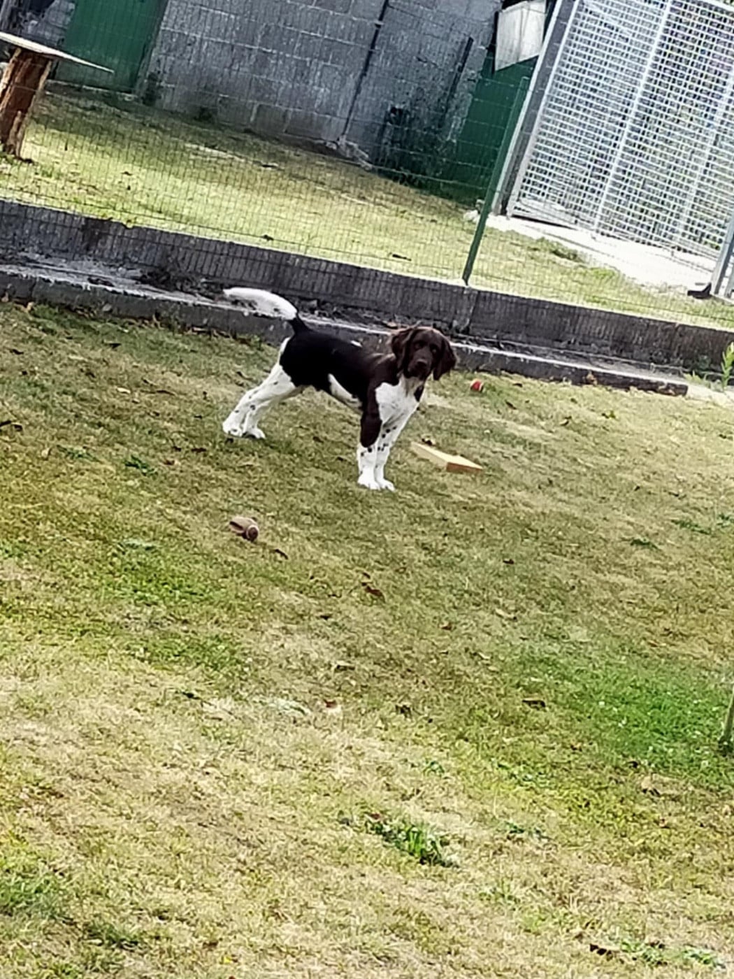 ASTRO DU VERGER DES ICQUES