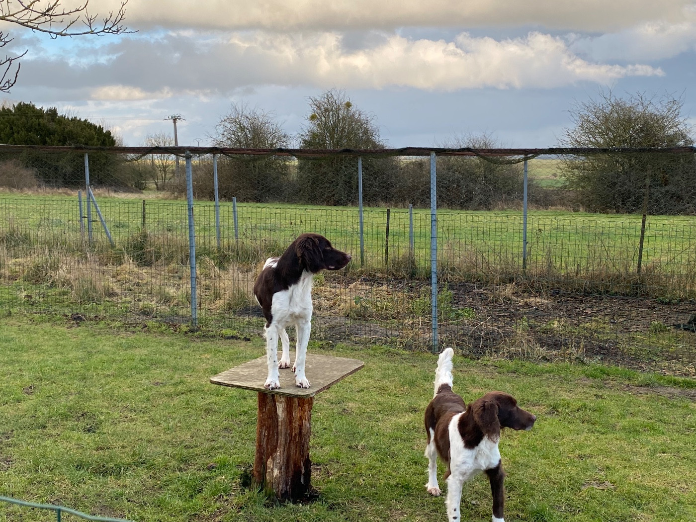 ULTRA DU VERGER DES ICQUES
