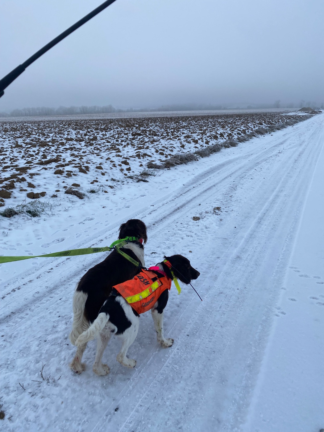 ULTRA DU VERGER DES ICQUES