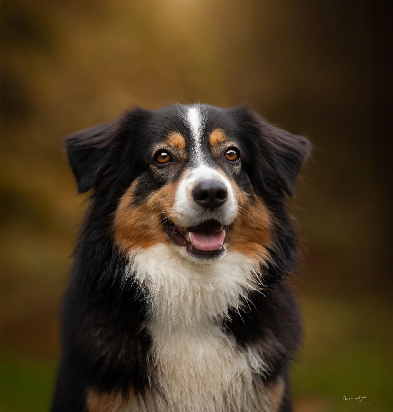 Ulysse (Sans Affixe)