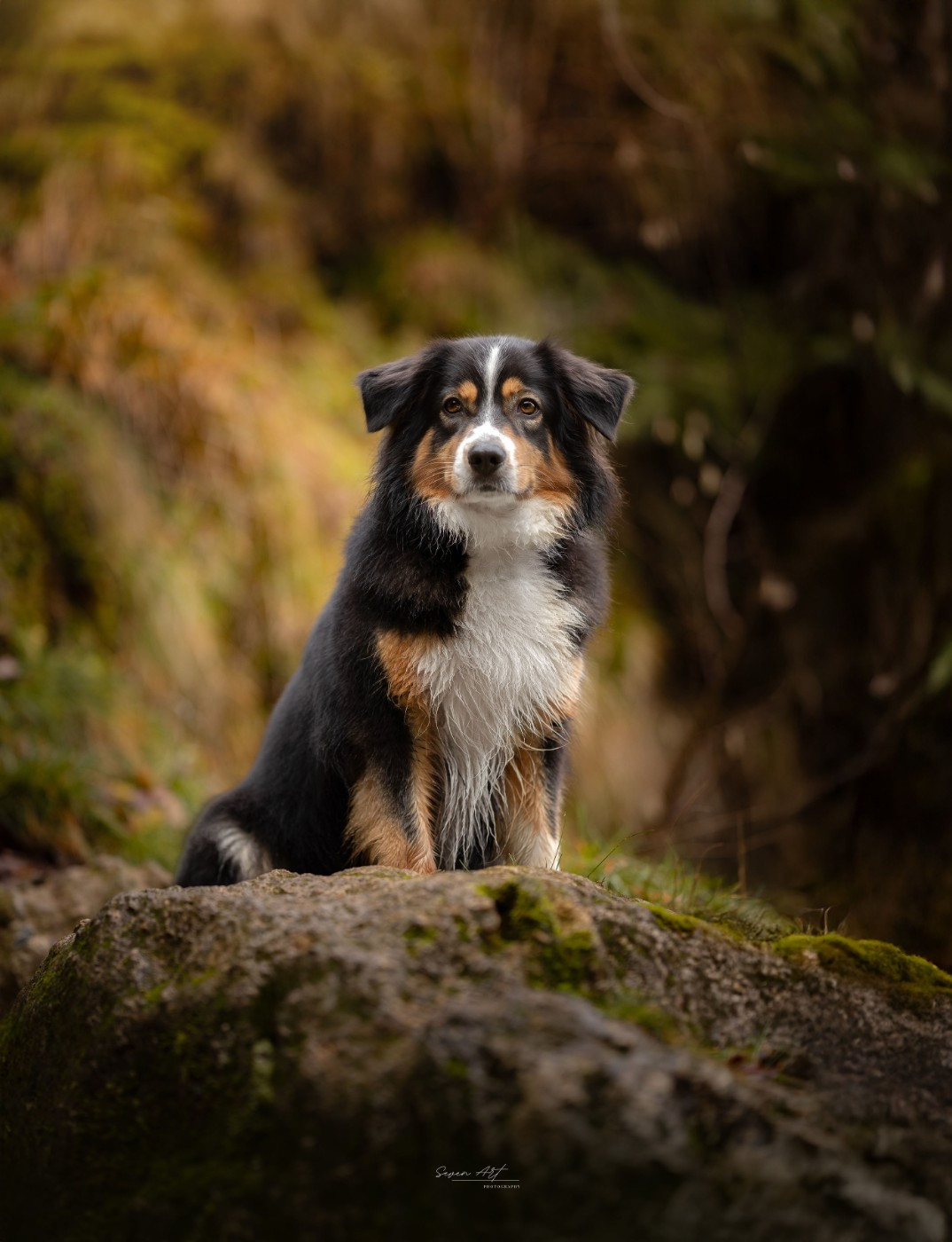 Ulysse (Sans Affixe)