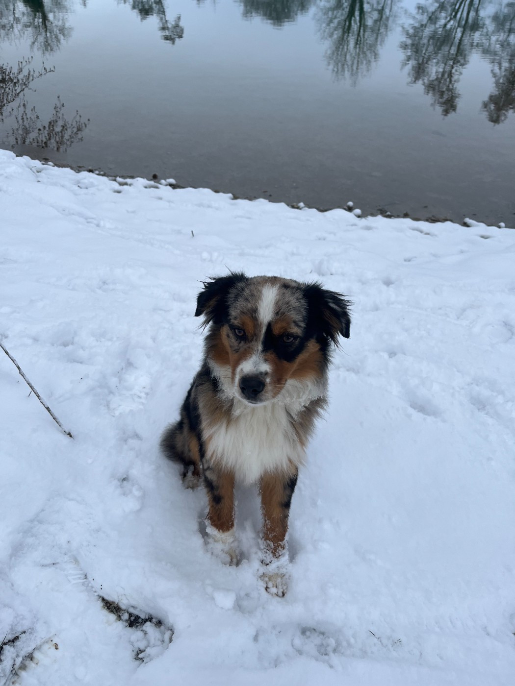 Publication : Des Petites Etoiles