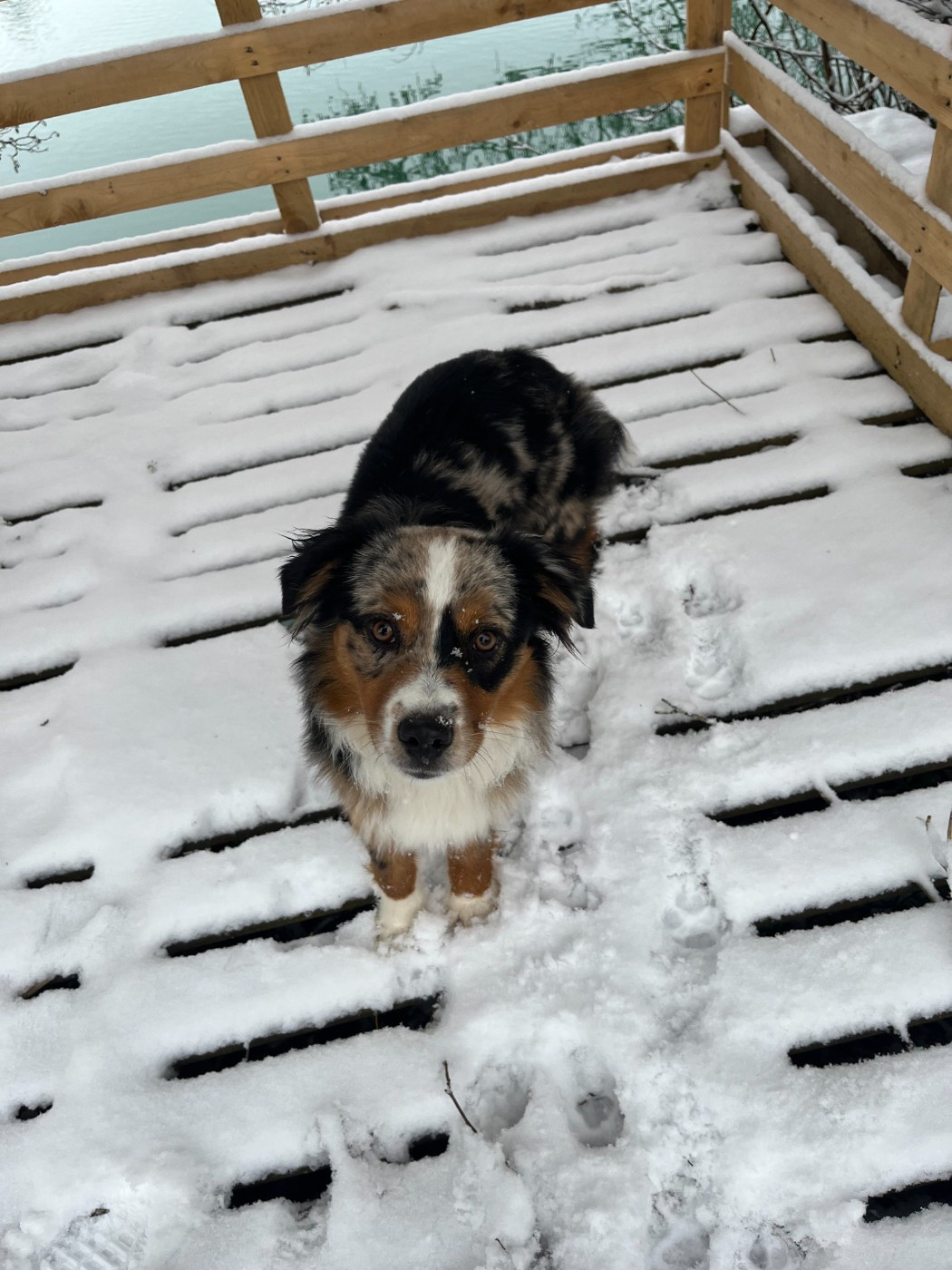 Publication : Des Petites Etoiles