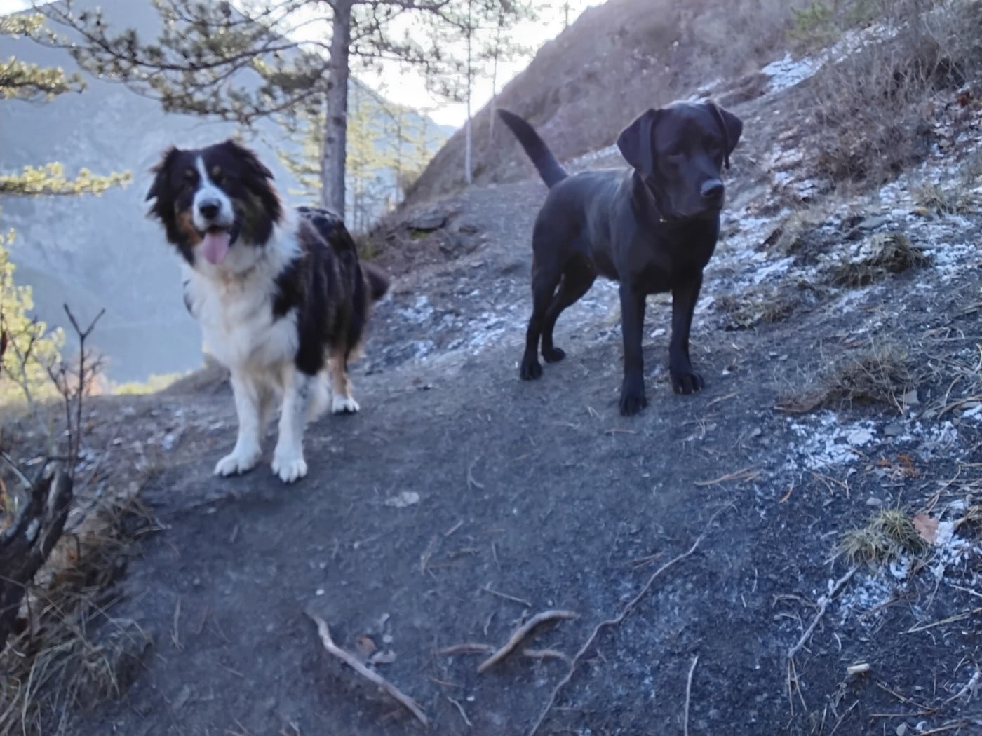 Publication : Les Constellations Du Coeur Auteur : Mme Marion Fages