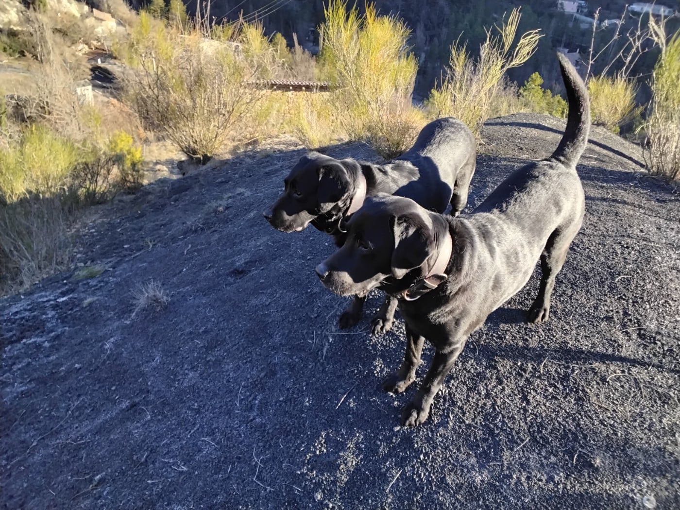 Publication : Les Constellations Du Coeur Auteur : Mme Marion Fages