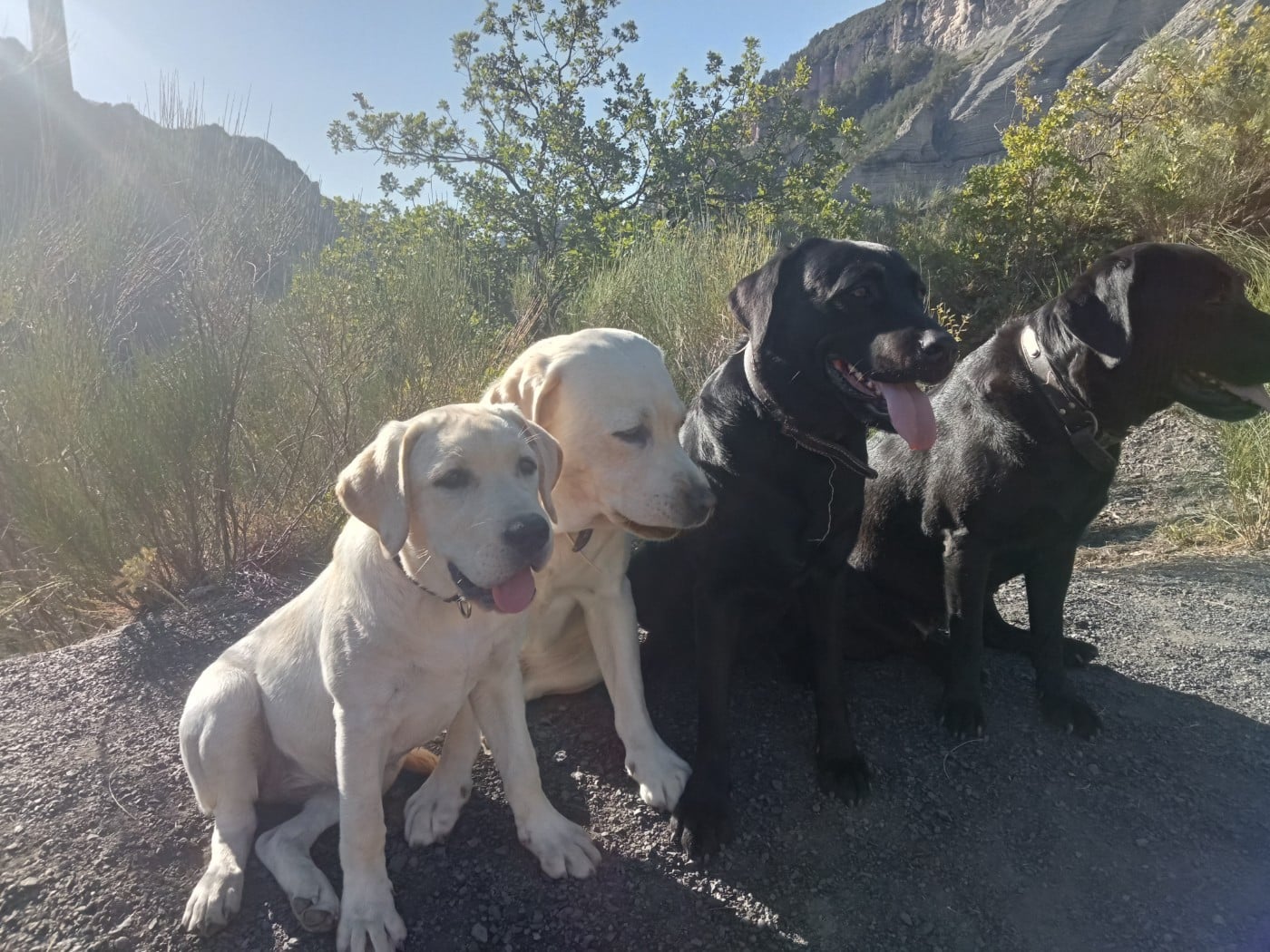 Publication : Les Constellations Du Coeur Auteur : Mme Marion Fages