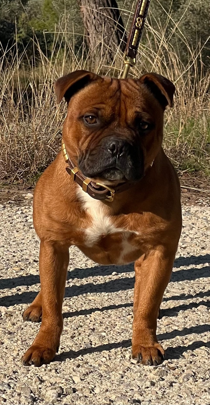 Publication : Des Diamants De Larose Noir