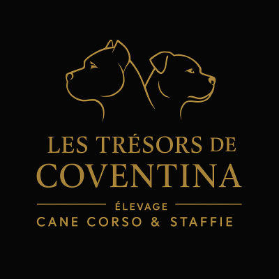 Les Trésors De Coventina