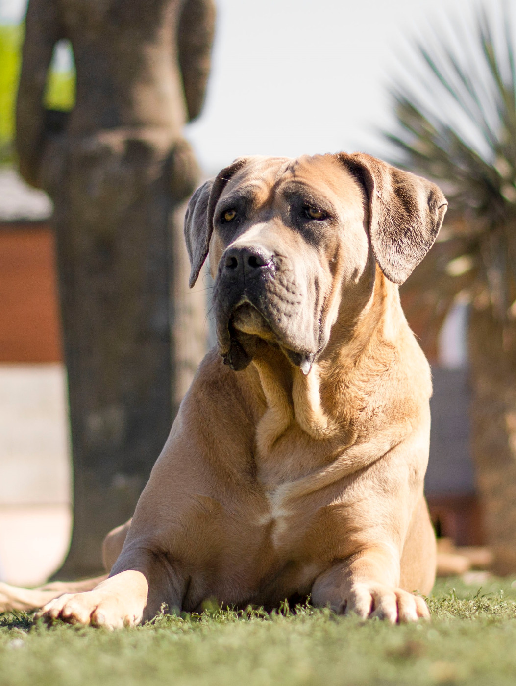 Rhéa Des Seigneurs De Sparte