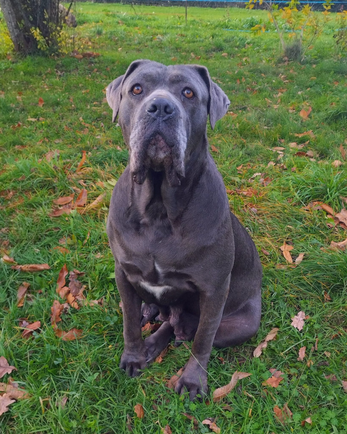 Regina dei titani sabini