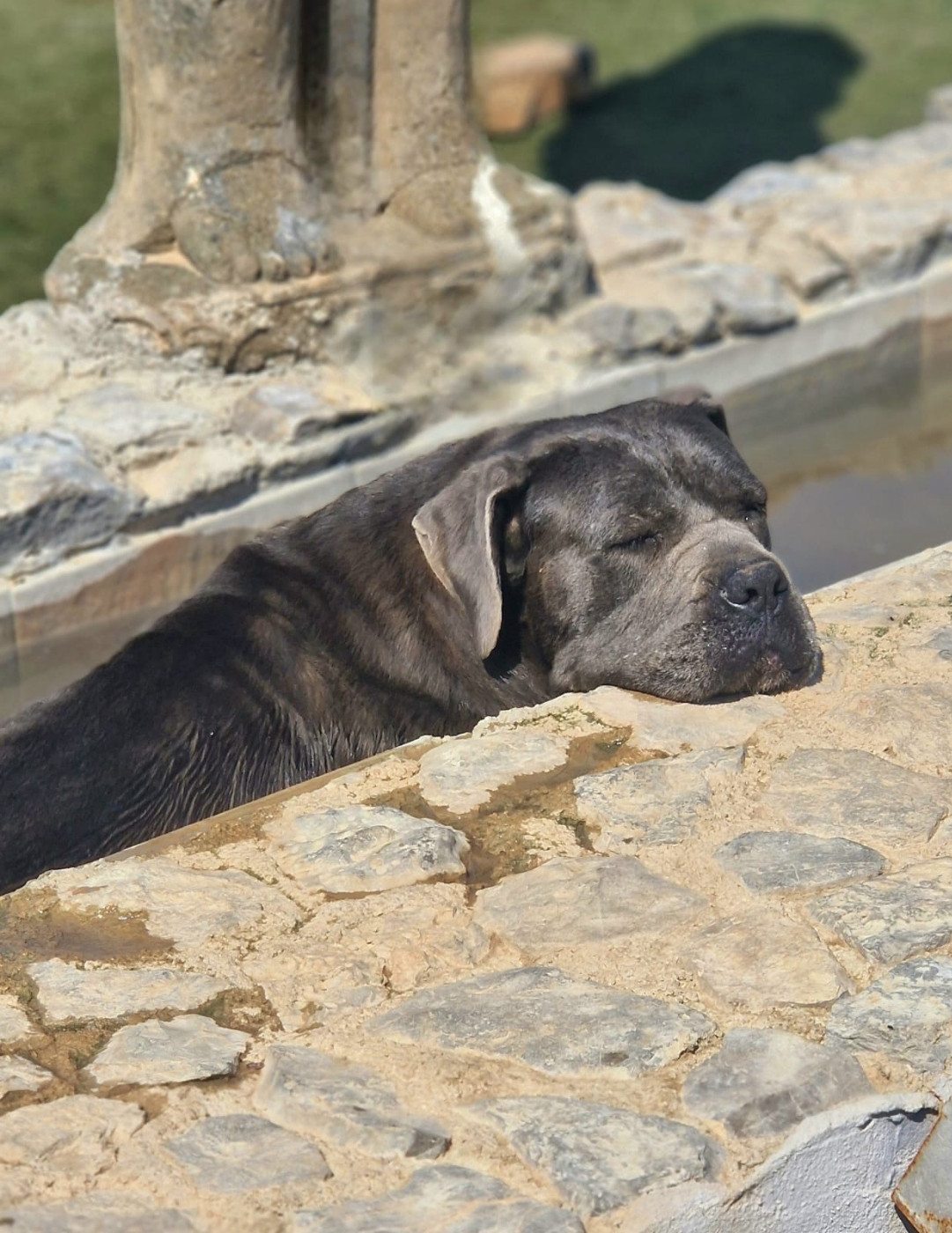 Regina dei titani sabini