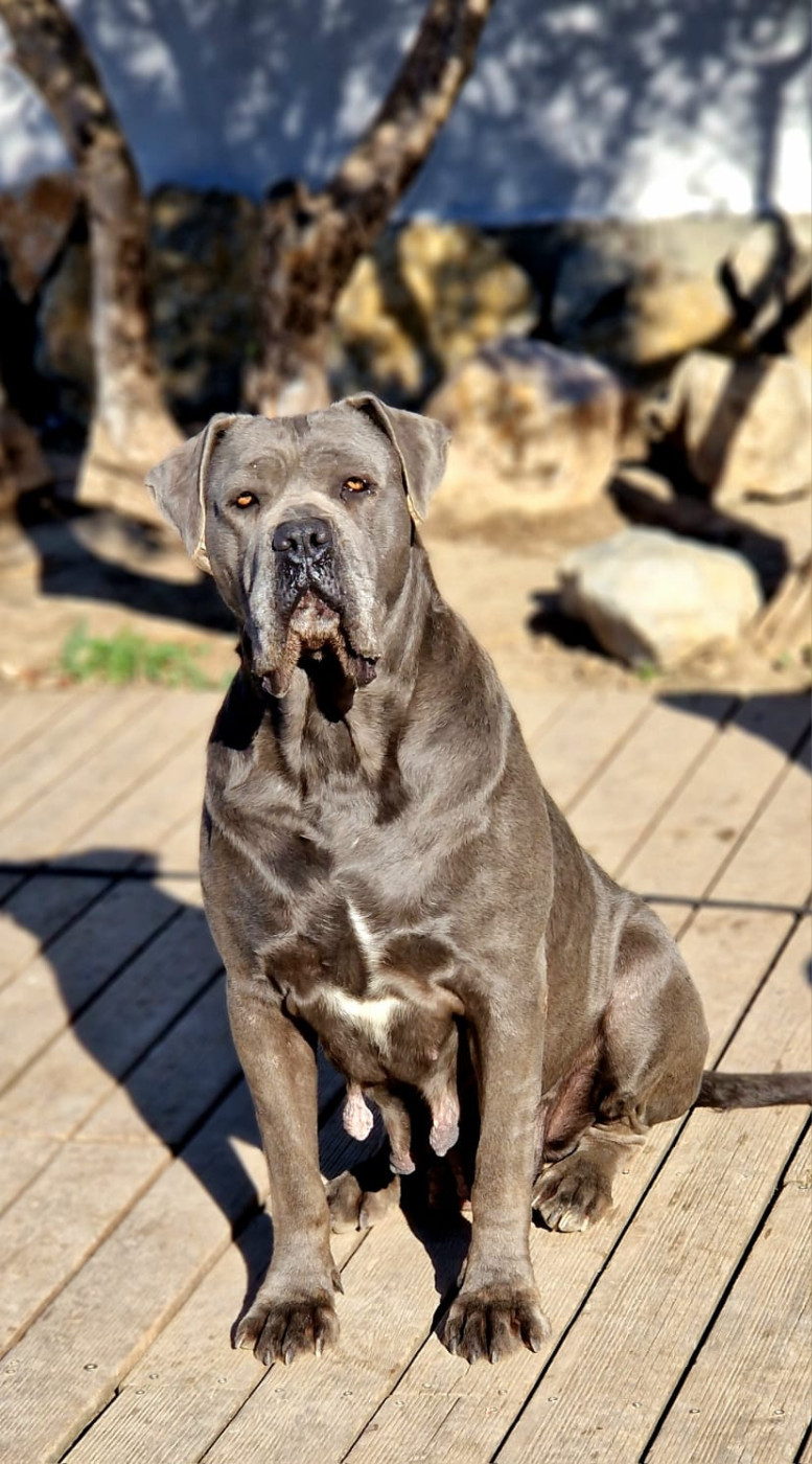 Regina dei titani sabini