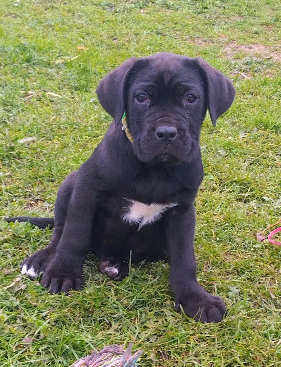 Luna