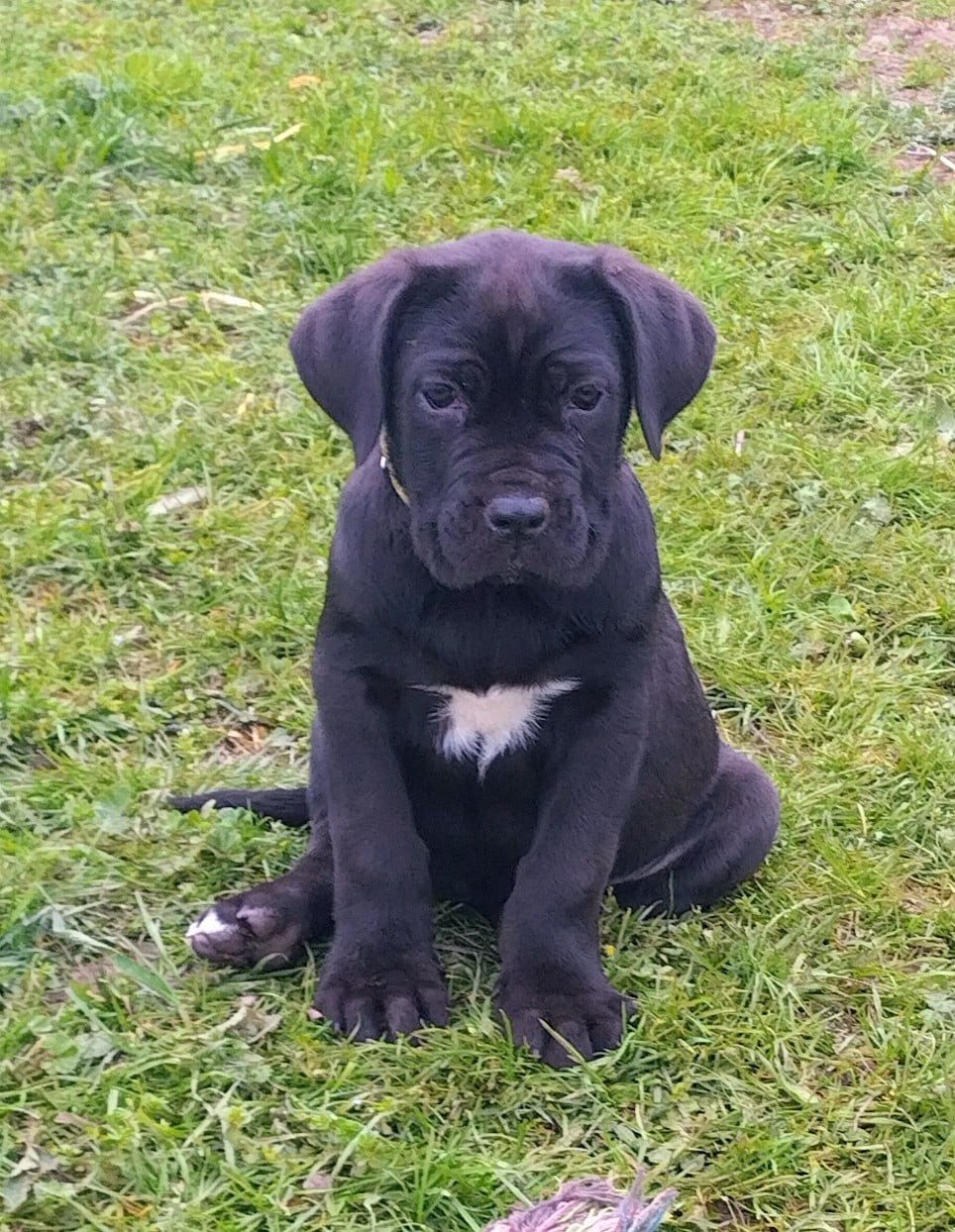 Luna