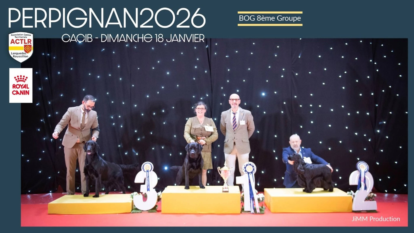 Publication : Black Nobleheart