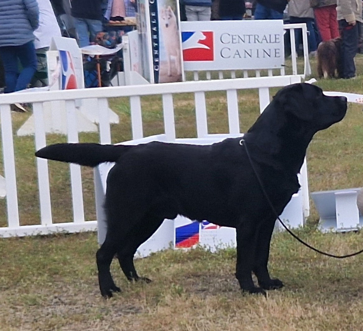 Publication : Black Nobleheart