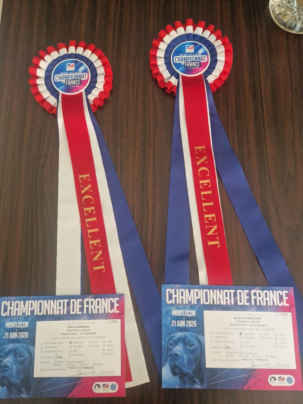 CH. Salto De La Gresilliere - 1ER EXCELLENT