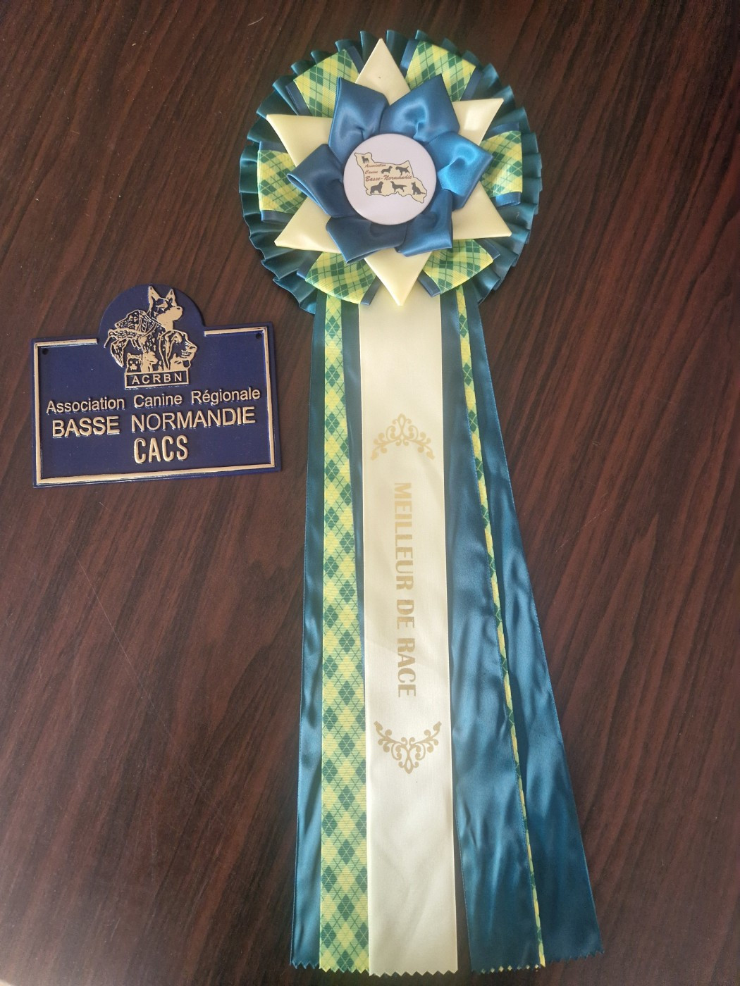 CH. GERULIS HARMONIJA - CACS - MEILLEURE DE RACE - MEILLEURE GROUPE 8
