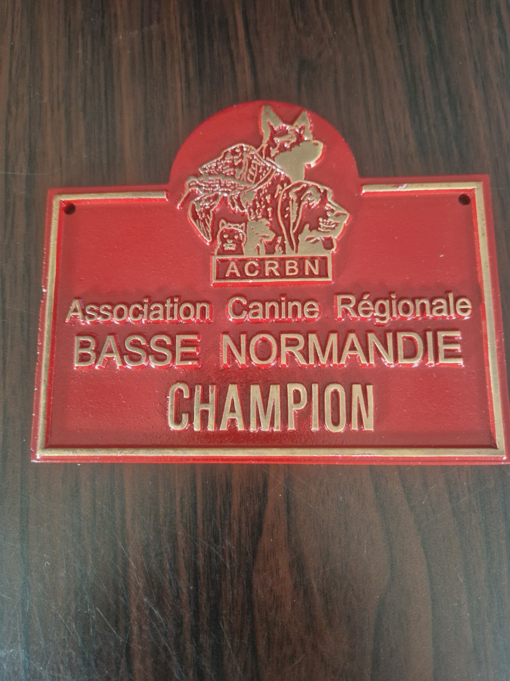 CH. Salto De La Gresilliere - 1ER EXCELLENT - MEILLEUR CHAMPION