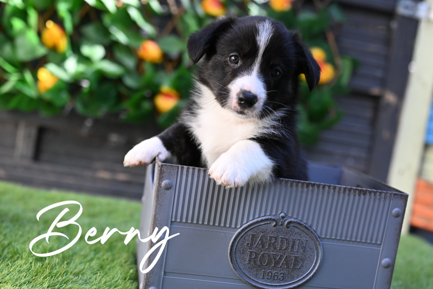 Berny