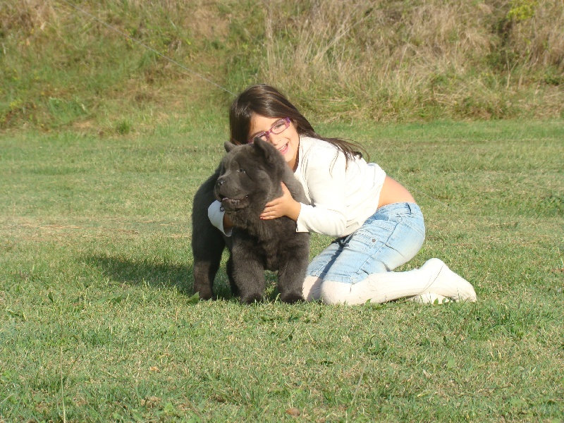 Publication : du Yang tse Kiang Auteur : Yang tse kiang kennel