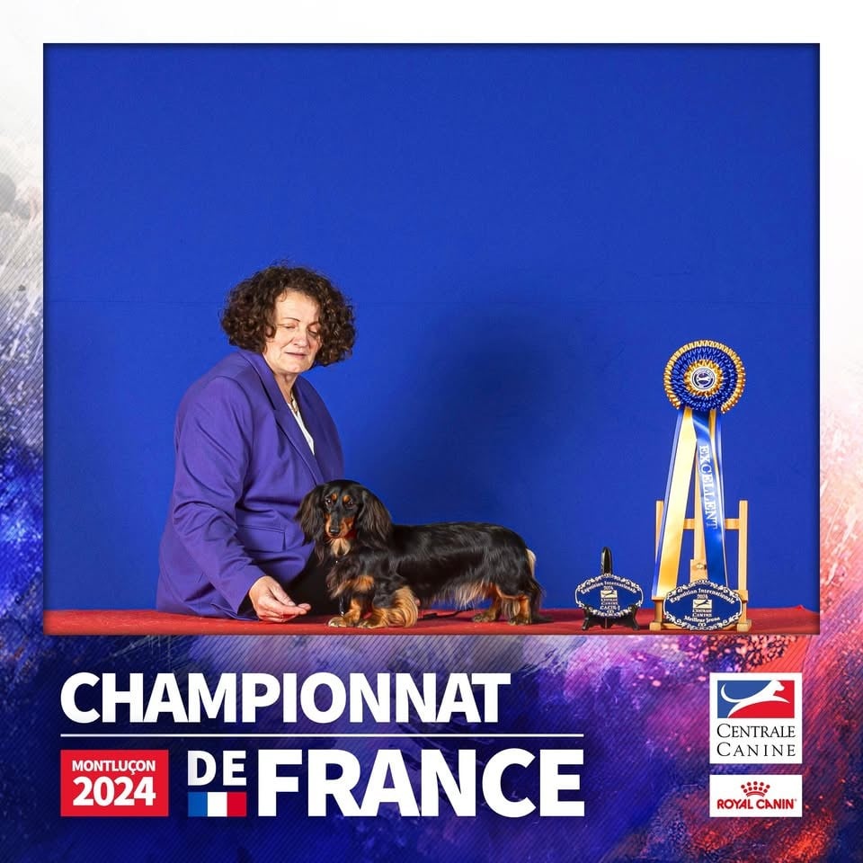 Une tite canaille du domaine de luard